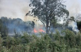 Incendio de cañas en Montevideo y 66