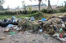 Vecinos de El Carmen reclaman que desde las fiestas no pasa el recolector y se formó un basural