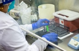 Nuevos casos sospechosos de coronavirus y dengue en Berisso