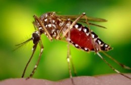 Capacitación para docentes sobre prevención de dengue