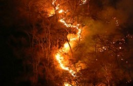 Sedán sobre el incendio en el Amazonas: "Van a llegar las partículas visibles y las no visibles"