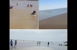 ¿Es seguro bañarse en el Río de la Plata?: la contaminación preocupa a Berisso