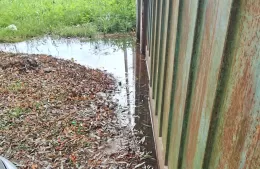 Agua contaminada y estancada desde hace meses: &ldquo;Est&aacute; todo infectado&rdquo;