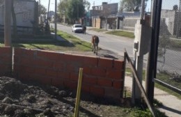 Vecinos alertan sobre la presencia de caballos sueltos en 26 y 159