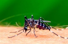 Comienza campaña de concientización sobre el dengue