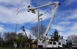 EDELAP: Ampliación de redes “para brindar más energía en Los Talas”