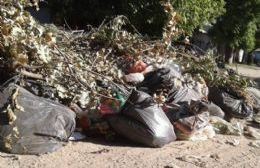 Vecinos alarmados piden que retiren la basura antes de que se genere un gran basural