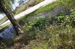 El Carmen: piden intervención municipal por agua estancada en las zanjas