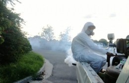 Intensifican labores de fumigación