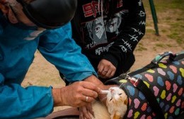 En Villa Progreso tuvo lugar una nueva jornada de vacunación antirrábica en el Móvil Sanitario