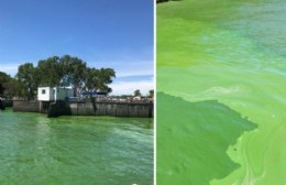 ABSA suspendió el envío de agua ante la inusual presencia de algas