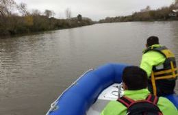 Buscan elefante marino perdido en aguas del río berissense