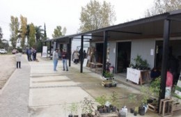 Mercado de la Ribera a puertas cerradas: “Esto nos castigó a todos los productores, pero vamos a salir adelante”