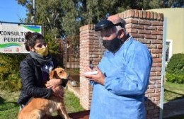 El móvil de Atención Primaria de Mascotas continúa su recorrida