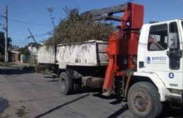 Camión de no habituales derribó un poste de luz y cortó cables