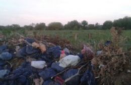 Indignación vecinal por basural a cielo abierto en 71 y 130