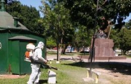 Prevención del dengue: Se realizaron tareas de fumigación