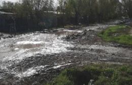 Ya no saben cómo, ni a quién pedir que arreglen sus calles