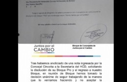 No soy de aquí ni soy de allá: Cincotta quiso volver al bloque de JxC pero fue rechazada