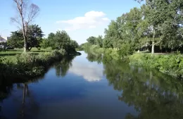 Berisso presente en la propuesta internacional “Walking Rivers”