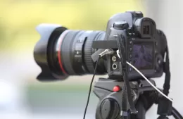 Todavía hay tiempo para participar de la muestra fotográfica sobre fertilidad