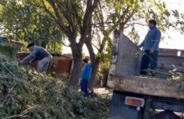 Agradecimiento de vecinos ante el accionar municipal: Corte de pasto, fumigación y luminarias sobre la 603