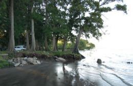 Intensificaron rastrillajes en la costanera de Palo Blanco