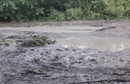 Camino a Palo Blanco, arreglate como puedas