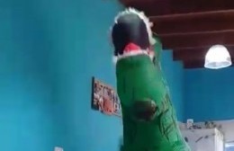 "Roxi Rex": La dino berissense que causa furor en las redes