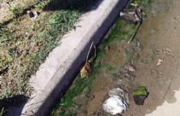 Barrio Obrero: Agua servida en viviendas, patios y veredas por falta de obras