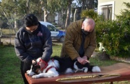 El servicio de Veterinaria Móvil estuvo atendiendo en Los Talas