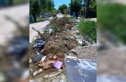 Villa Nueva: piden al Municipio limpieza de un basural y a los vecinos que no arrojen más residuos