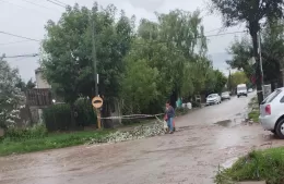 Catástrofe inminente: los micros pasan y el estado de la calle está cada vez peor