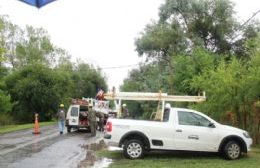 Sin luz en varios puntos de la ciudad por obras de mantenimiento