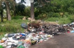 Basura y ratas, algo cotidiano