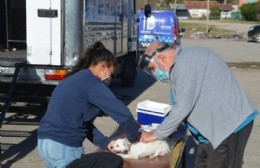 Jornada de vacunación antirrábica en Barrio Obrero