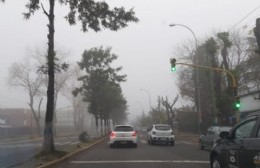 Intensa niebla en Berisso: ¡Precaución!