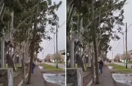 Poste “baila” con el viento en Montevideo entre 32 y 33