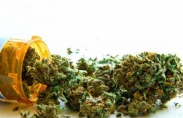 Nuevo encuentro de la Cátedra Libre de Cannabis y Salud de la UNLP