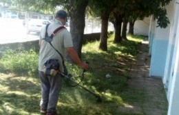 Ayuda a la Primaria N° 17: "Para poder sacar la escuela del barrio adelante"