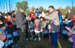 Se plantaron árboles nativos sobre el canal de Avenida Génova