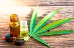 Científica berissense investiga sobre cannabis medicinal: “Se discuten nuevas posibilidades de cultivo”