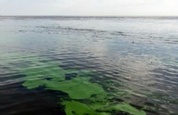 Alerta por cianobacterias en los balnearios de la ciudad