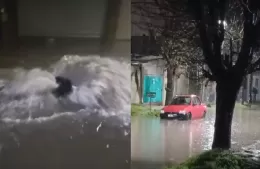 La ciudad sufrió el temporal: 115 milímetros precipitados y calles anegadas