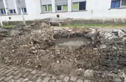 Reclamos por la extracción de árboles en el Barrio Nueva York