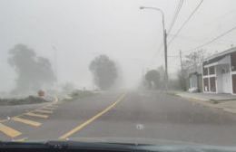 Niebla espesa y persistente en la región