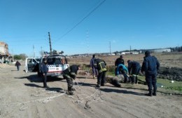 Bomberos Voluntarios rescataron caballo de un zanjón