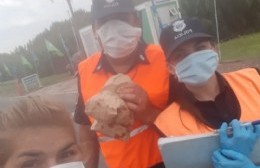 Rosquillas para los efectivos y trabajadores de la salud