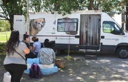 Se realizó la última jornada de castración de perros y gatos