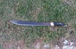 Ingresó a la casa de su vecino con un machete y atacó a su perro